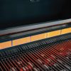 SUMMERSET Sizzler PRO Series 32" - Image 6