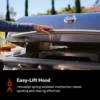 Blaze LTE+ Marine Grade 32-in 4-Burner Built-In Propane Gas / Natural Gas w/ Lift-Assist Hood & Rear Infrared Burner - Image 6