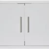 Blaze 32-Inch Stainless Steel Double Access Door With Paper Towel Holder