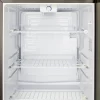 Blaze 20-Inch 4.4 Cu. Ft. Compact Refrigerator
