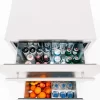 TrueFlame 24" 5.3C Deluxe Outdoor Rated 2-Drawer Fridge TF-RFR-24DR2